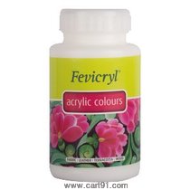 Fevicryl Acrylic Colors White 500ml