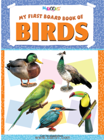 My First Board Book of Birds