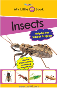 My Little General Knowledge Book -Insects
