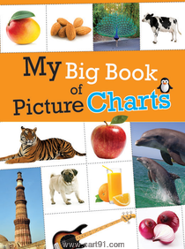 Koral Books My Big Book Of Picture Charts